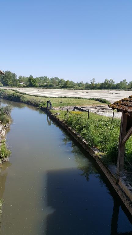 Le Moulin Traffay Pensionat Saint-Didier-sur-Chalaronne Eksteriør billede