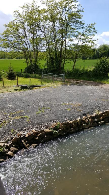 Le Moulin Traffay Pensionat Saint-Didier-sur-Chalaronne Eksteriør billede